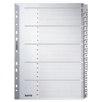 Leitz 43260000 Tab-Index Numerischer Tab-Index Karton Grau