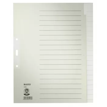 Leitz 12200085 Tab-Index Blanko-Tab-Index Papier Grau