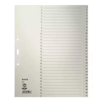 Leitz 12310085 Tab-Index Numerischer Tab-Index Papier Grau