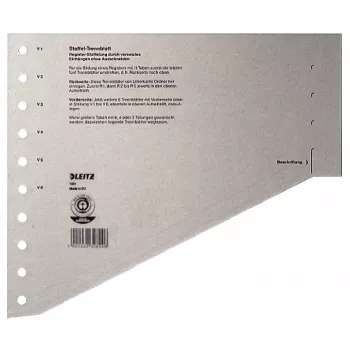 Leitz 16510085 Registerreiter Blanko-Registerreiter Karton Grau