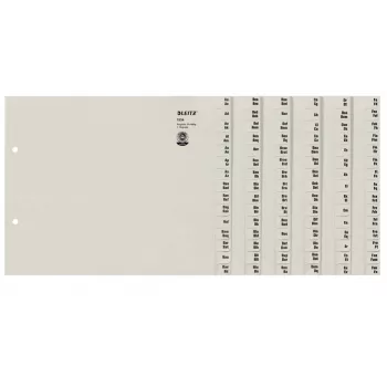 Leitz 13240085 Tab-Register Alphabetisches Tab-Register Papier Grau