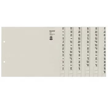 Leitz 13360085, Alphabetisches Tab-Register, Papier, Grau