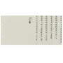 Leitz 13360085, Alphabetisches Tab-Register, Papier, Grau