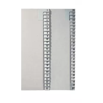 Leitz 13810085 Tab-Register Numerisches Tab-Register Papier Grau