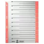 Leitz 16520025 Tab-Register Numerisches Register Karton Grau, Rot