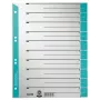 Leitz 16520030 Tab-Index Numerischer Tab-Index Karton Blau, Grau