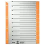 Leitz 16520045 Tab-Index Numerisches Tab-Register Karton Grau, Orange