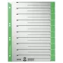 Leitz 16520055 Tab-Index Numerischer Tab-Index Karton Grün, Grau