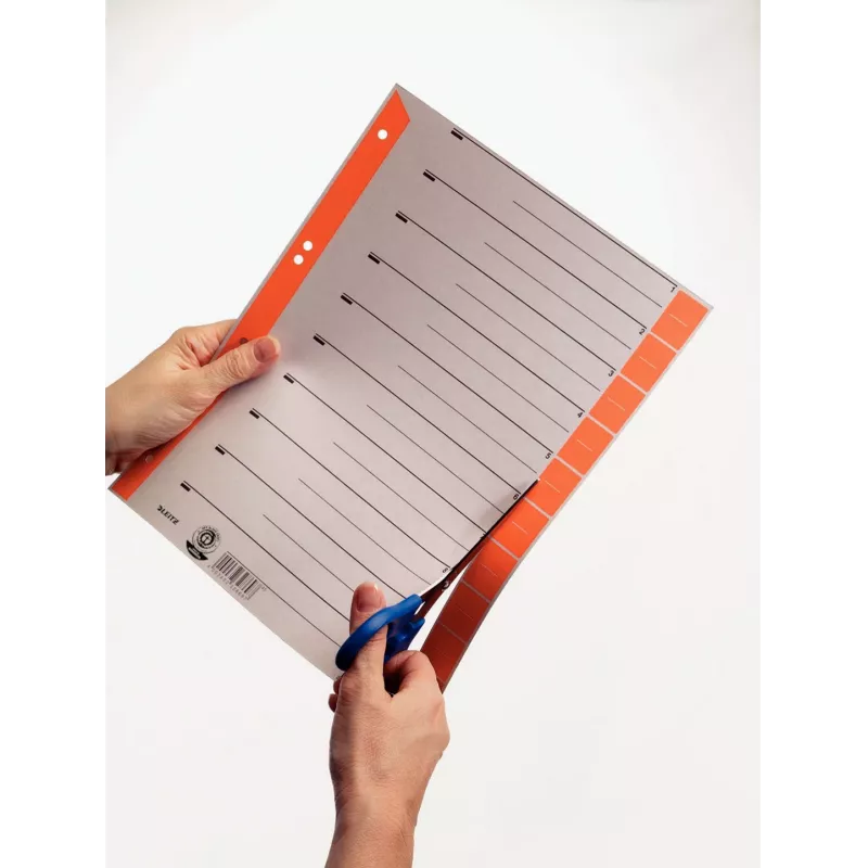 Leitz 16520055 Tab-Index Numerischer Tab-Index Karton Grün, Grau