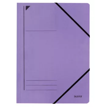 Leitz 39800065 Ordner Karton Violett A4