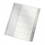Leitz 12610085 Tab-Index Nummerischer Tab-Index Polypropylen (PP) Grau