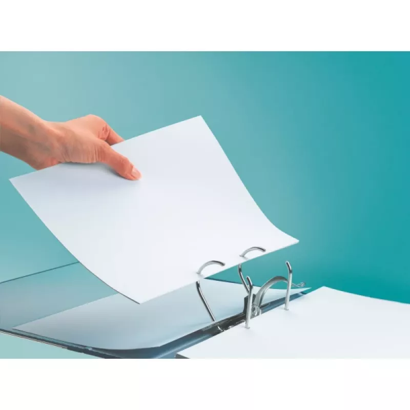 Leitz LEITZ Standard-Aktenordner A4 80 mm, mit Schlitzen, Karton (RC), Rückenbreite 80 mm (1080-50-25)