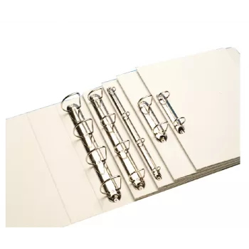 Leitz 42830001 Ringbuch A4 Weiß
