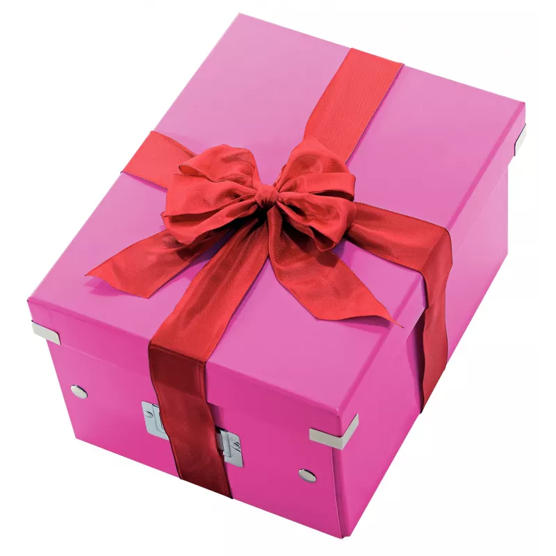 Leitz Click & Store WOW Medium Aufbewahrungsbox, Pink, Karton, 16,7 L, 281 mm, 200 mm, 265 x 335 x 188 mm