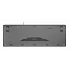 Contour Design STREAM PROTECT, Full-size (100%), Kabel, USB, Scherentastschalter, QWERTY, Schwarz