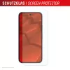 Displex Displayschutzfolie + Hülle für Google Pixel 10 Pro XL, Eco-Montagerahmen, kratzfest