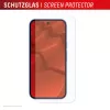 Tempered Glass Screen Protector mit Case for Google Pixel 10 by e.v.i. (DISPLEX Real Glass + Case)