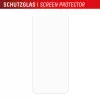Tempered Glass Screen Protector mit Case for Google Pixel 10 by e.v.i. (DISPLEX Real Glass + Case)