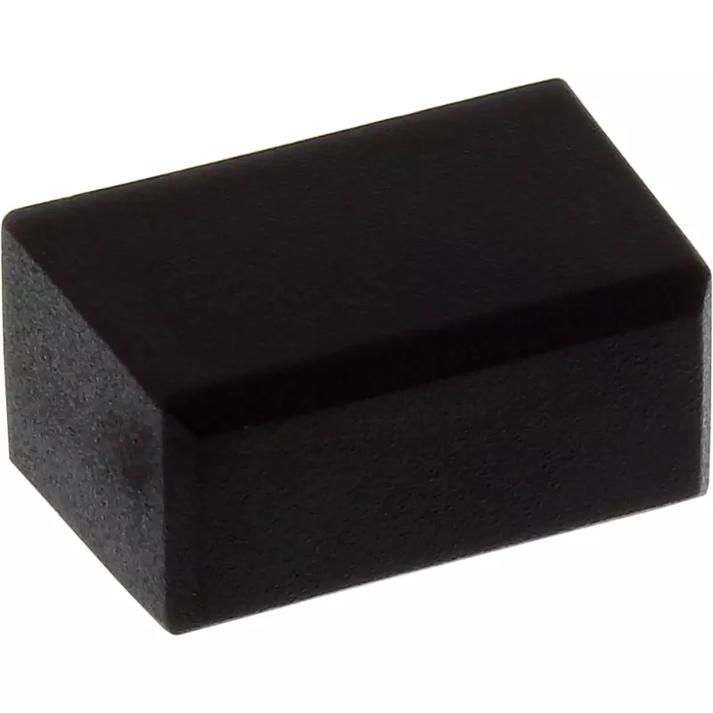 InLine Staubschutzkappe für DisplayPort-Stecker, schwarz, 50 Stk.