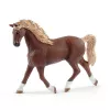 schleich HORSE CLUB Waschplatz mit Emily & Luna, Tier, Pferdestall, Pferde, 5 Jahr(e), Mehrfarbig, Kunststoff