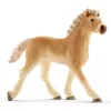 schleich Tierarztpraxis mit Tieren, Bauernhof, Bauernhoftiere / Bauernhofspielzeug, 3 Jahr(e), Mehrfarbig
