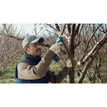 Bosch Pro Pruner Professional Akku-Grasschere 2,5 cm 12 V Lithium-Ion (Li-Ion) Schwarz, Blau