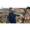 Bosch Pro Pruner Professional Akku-Grasschere 2,5 cm 12 V Lithium-Ion (Li-Ion) Schwarz, Blau