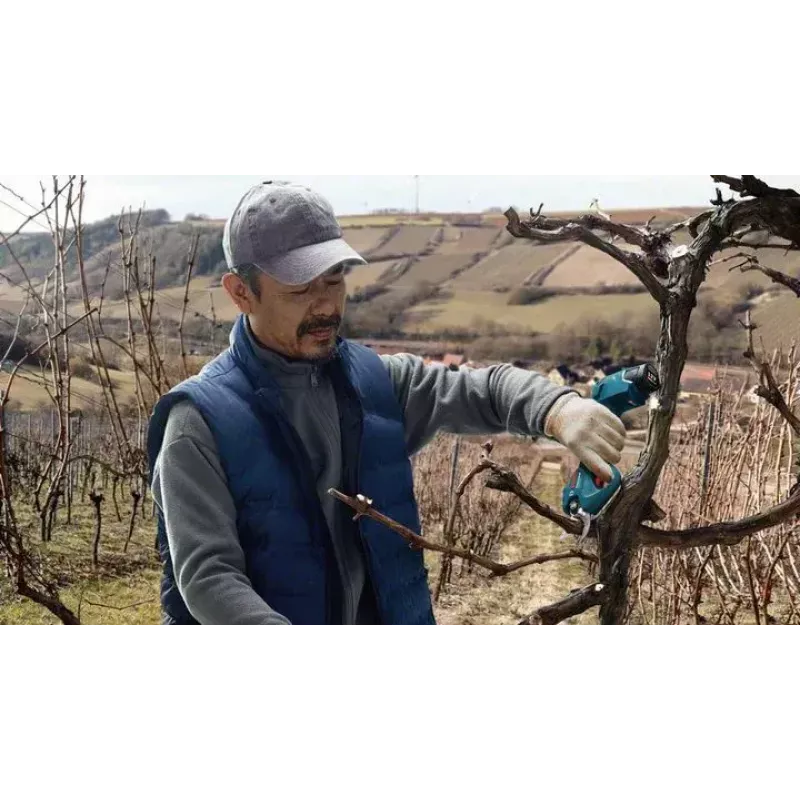 Bosch Pro Pruner Professional Akku-Grasschere 2,5 cm 12 V Lithium-Ion (Li-Ion) Schwarz, Blau