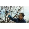 Bosch Pro Pruner Professional Akku-Grasschere 2,5 cm 12 V Lithium-Ion (Li-Ion) Schwarz, Blau