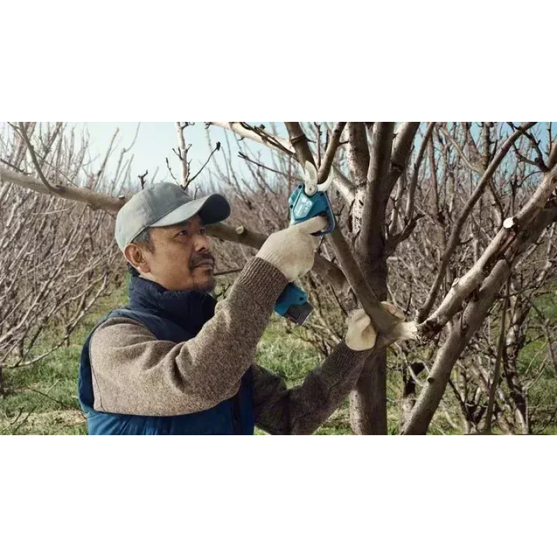 Bosch Pro Pruner Professional Akku-Grasschere 2,5 cm 12 V Lithium-Ion (Li-Ion) Schwarz, Blau
