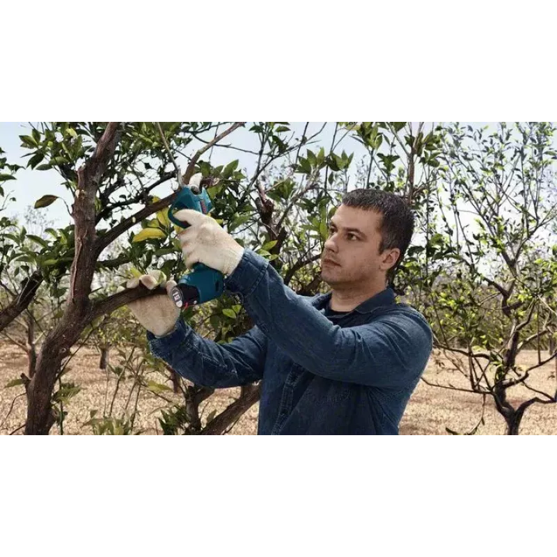 Bosch Pro Pruner Professional Akku-Grasschere 2,5 cm 12 V Lithium-Ion (Li-Ion) Schwarz, Blau