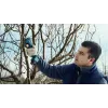 Bosch Pro Pruner Professional Akku-Grasschere 2,5 cm 12 V Lithium-Ion (Li-Ion) Schwarz, Blau