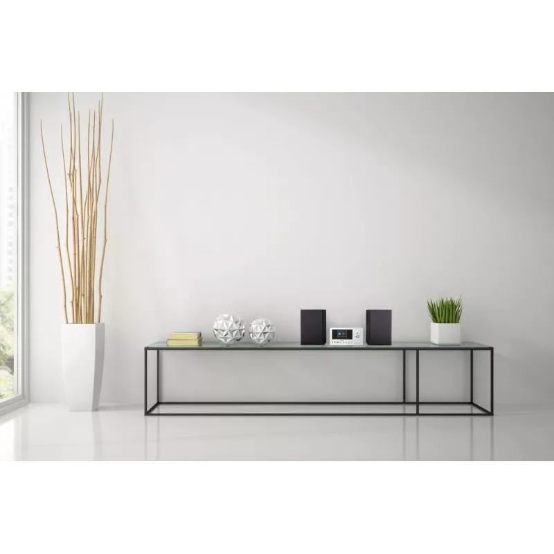 MEDION LIFE P85003 Heim-Audio-Mikroanlage 30 W Schwarz, Silber