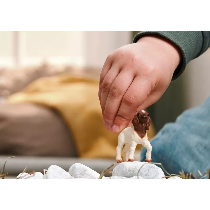 schleich FARM WORLD 14930 Kinder-Spielfigur