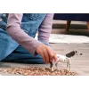 schleich BAYALA 14916 Kinder-Spielfigur