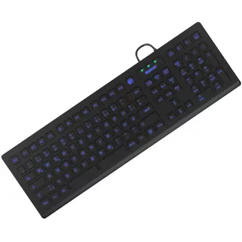 KeySonic KSK-8031INEL-B (DE) Tastatur Industriell USB QWERTZ Deutsch Schwarz