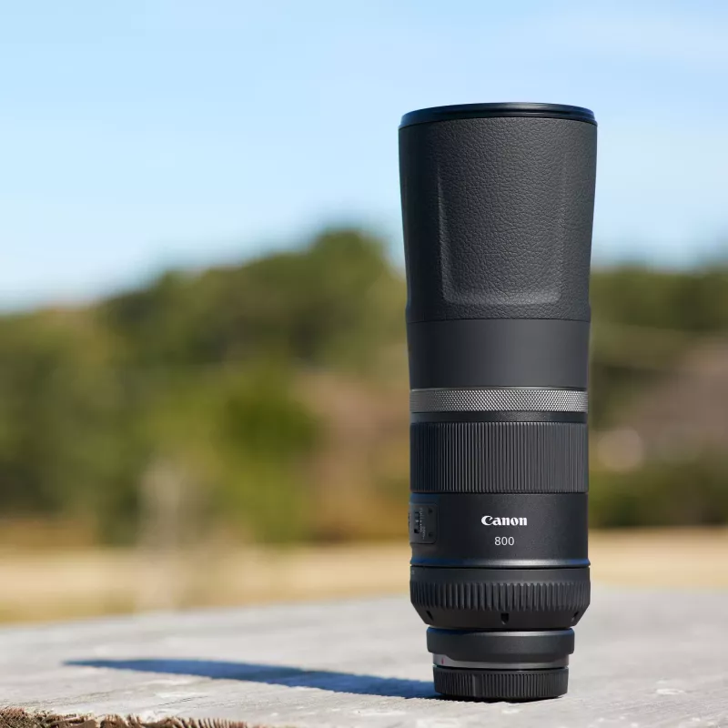 Canon RF 800mm F11 IS STM Objektiv, Teleobjektiv, 11/8, Canon RF