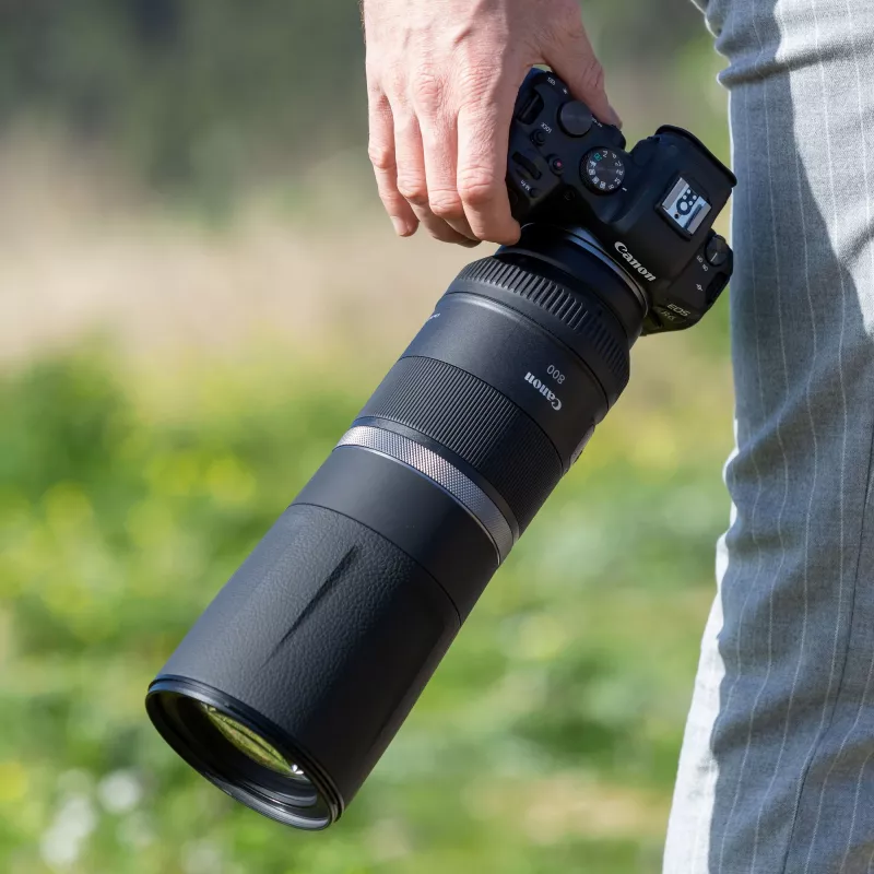 Canon RF 800mm F11 IS STM Objektiv, Teleobjektiv, 11/8, Canon RF