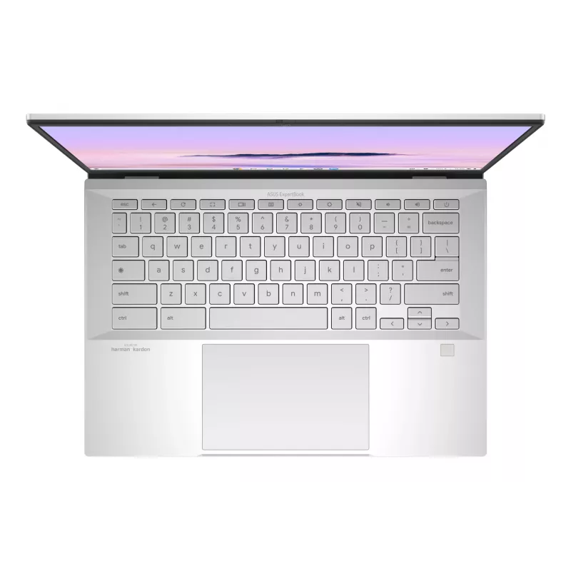 ASUS Chromebook Plus Enterprise CB54 CB5403CMA-QM0916 Intel Core Ultra 7 35.6 cm (14 Zoll) Touchscreen WQXGA 16 GB LPDDR5x-SDRAM 256 GB SSD Wi-Fi 6E (802.11ax) ChromeOS US International Silber