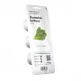 Pflanzsystem EMSA Click & Grow Salat