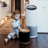 Leitz Geruchs- und VOC-3-in-1-HEPA-Filtertrommel für TruSens Z-3000 / Z-3500 großer Luftreiniger