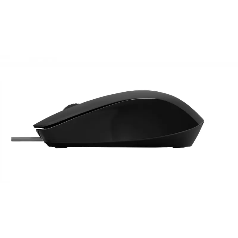 Maus HP 150 kabelgebunden USB Typ-A