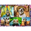 Puzzle TREFL Funny — 4 x 250 Teile, Themen-Set für Kinder