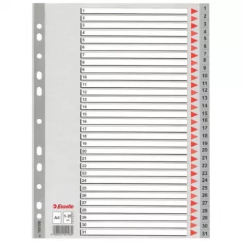 Esselte Index 1-31 PP A4 Grau, Numerisches Register, Polypropylen (PP), A4, 225 mm, 297 mm, 1 Stk.
