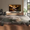 Soundbar Hisense AX5140Q 5.1.4 Dolby Atmos, 600 W RMS, kabelloser Subwoofer 280 W, schwarz