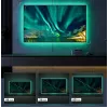 Govee H6178 RGB LED-Hintergrundbeleuchtungsstreifen für 46–60 Zoll Fernseher, Modell H61780A1