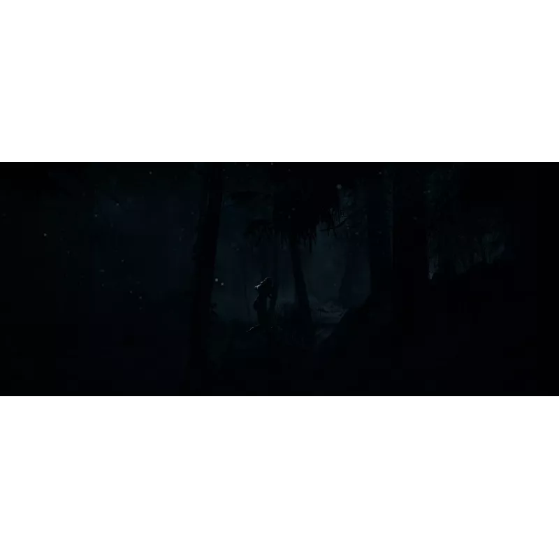 Sony Until Dawn Standard Mehrsprachig PlayStation 5