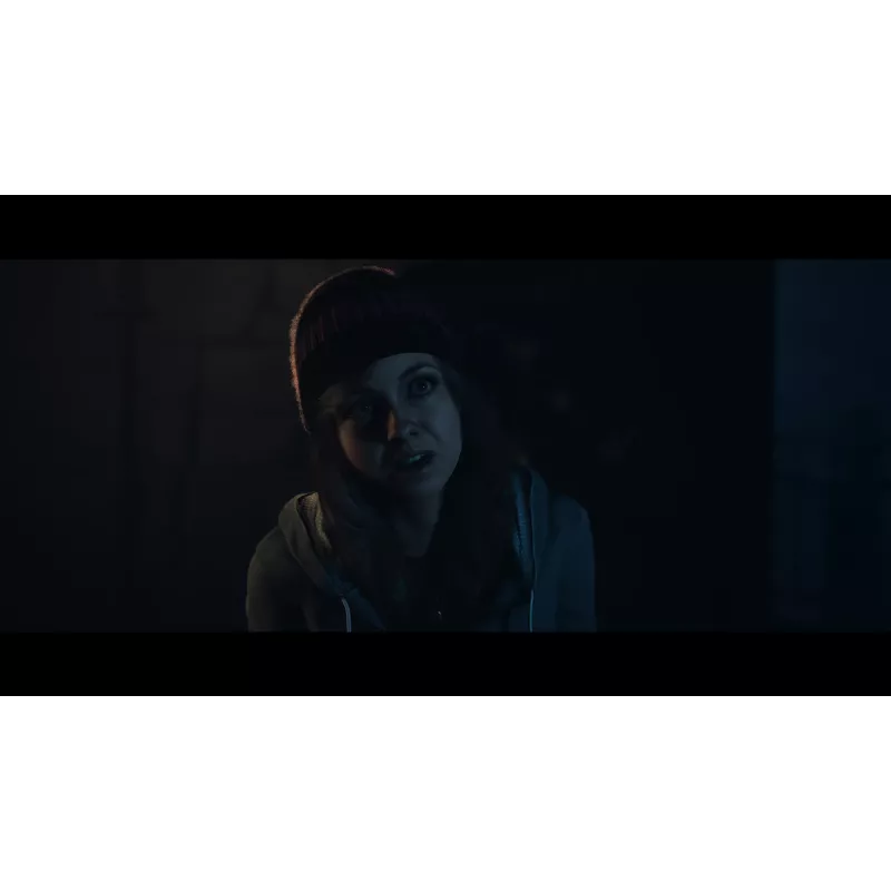 Sony Until Dawn Standard Mehrsprachig PlayStation 5