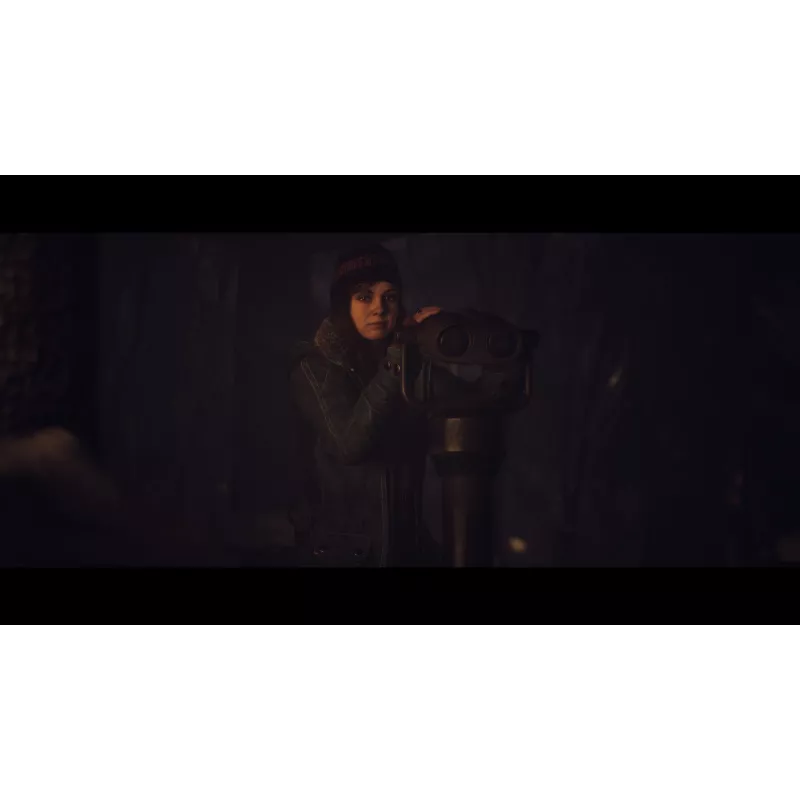 Sony Until Dawn Standard Mehrsprachig PlayStation 5
