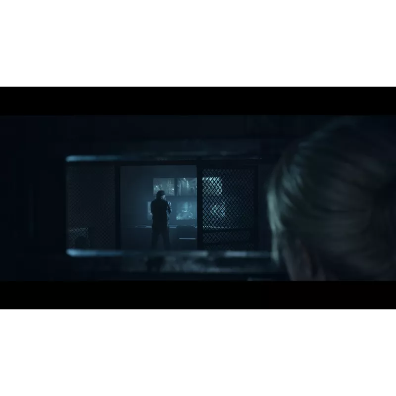 Sony Until Dawn Standard Mehrsprachig PlayStation 5